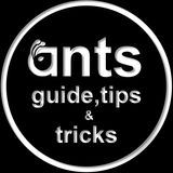 Ants Undeground Kingdom Faq