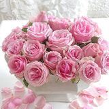 Услуги @Instalady_smm