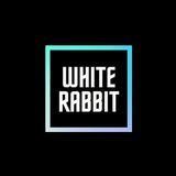 White Rabbit 