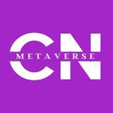 Coin Metaverse