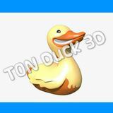 TON Duck NFT🦆