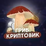 Гриб Криптовик 