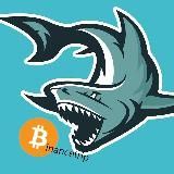 Криптовалюты | Сигналы, Новости