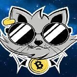 КриптоКот