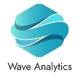 Wave Analytics