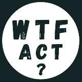 WTF: what the fact / что за факт 