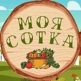  МИР ВКУСА 