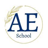 American Elite School